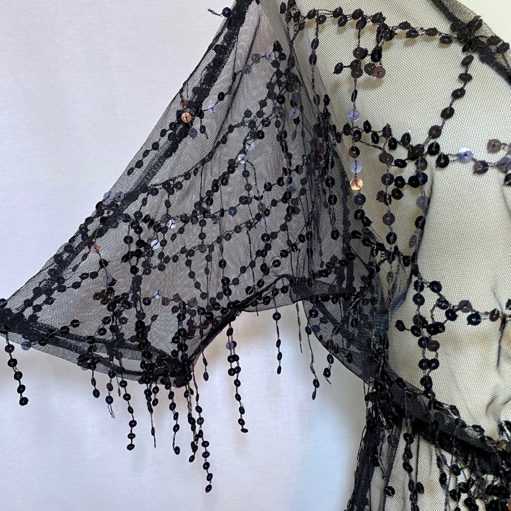 Sheer Black Lace Beach Coverup Robe with Sequins - Picture 7 of 14